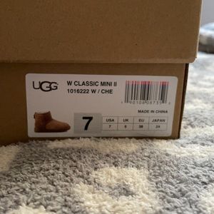 Woman classic short 2 ugg